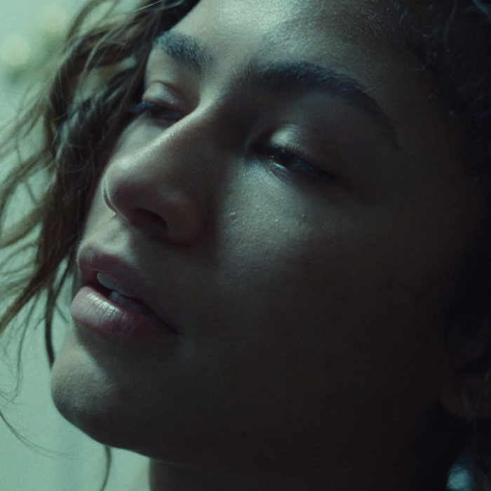 Euphoria starring Zendaya