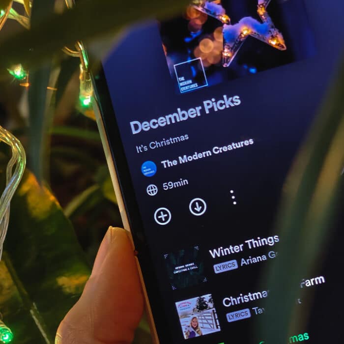 The Melting Pot: Spotify picks for December 2023