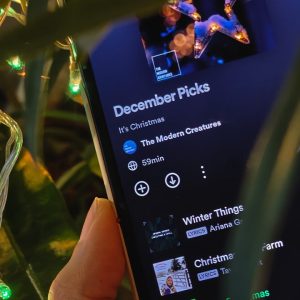 The Melting Pot: Spotify picks for December 2023